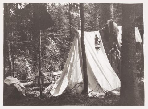 Larrabee’s Tent at Great Gulf camp—July 3, 1910