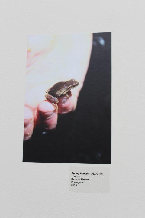 vernal pool and more