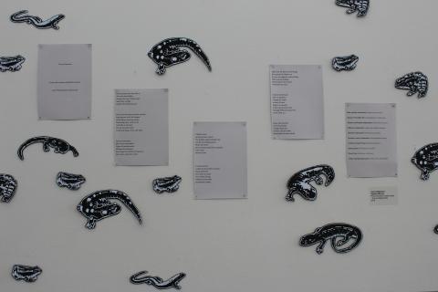 vernal pool and more