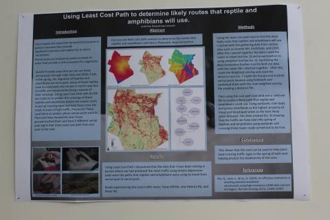 vernal pool and more