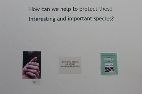 vernal pool and more