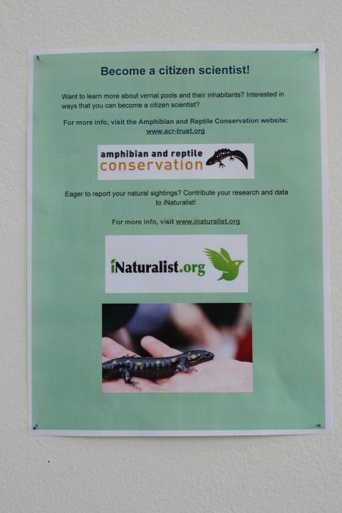 vernal pool and more