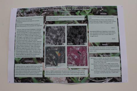 vernal pool and more