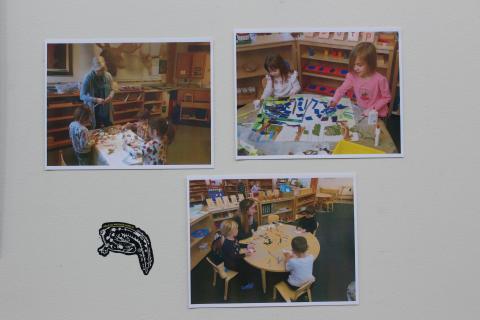 vernal pool blue heron