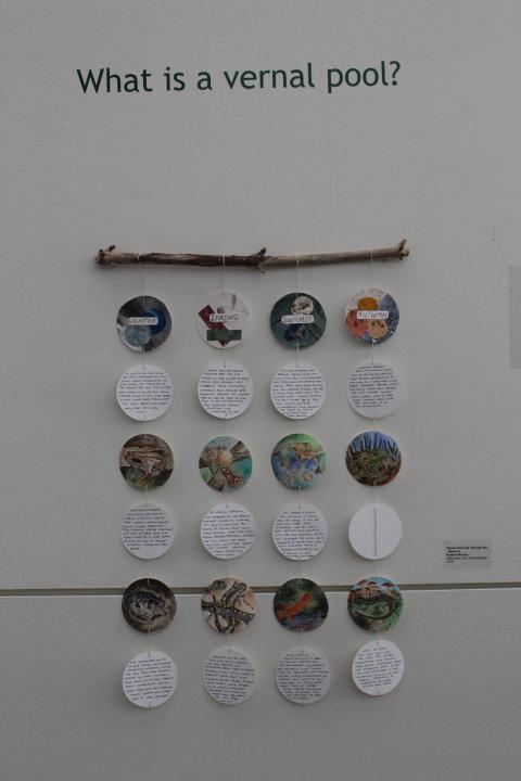 vernal pool intro