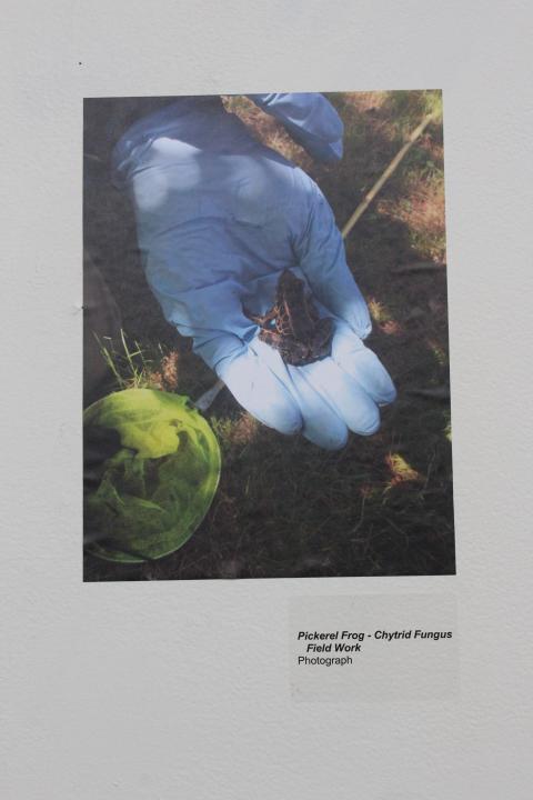 vernal pool local action