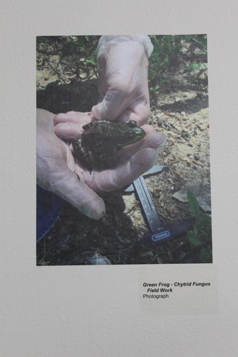 vernal pool local action