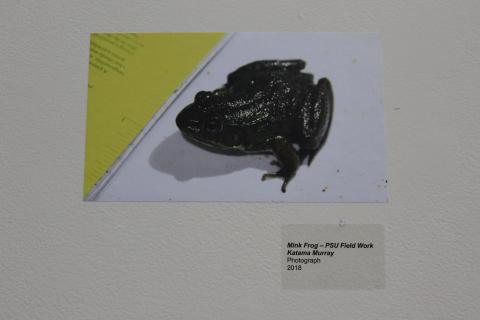 vernal pool local action