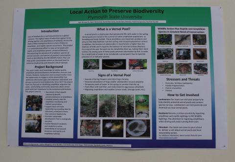 vernal pool local action