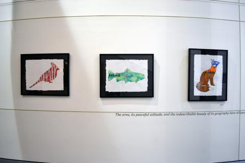 art display 20