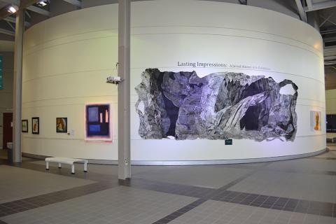 art display 24
