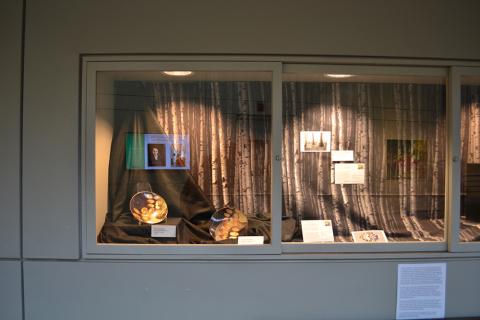 art display 8