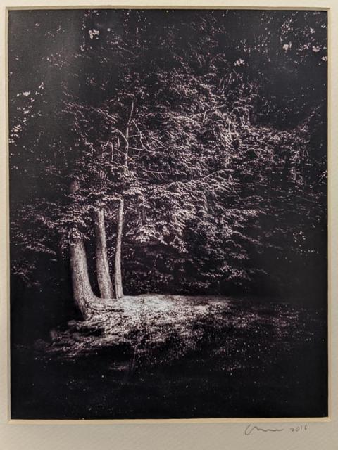 jay's art remembering jay