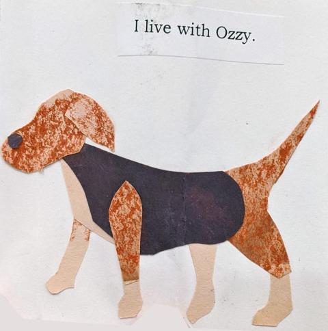 accordion book projects remembering jay