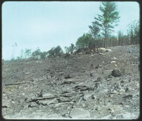 Lantern slide showing forest devestation
