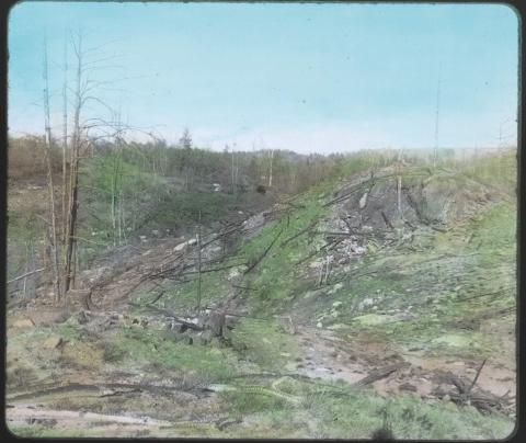 Lantern slide showing forest devestation