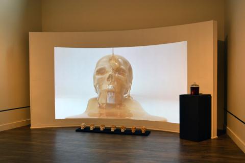 nectar of knowledge C