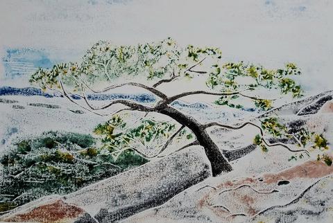 squam from rattlesnake