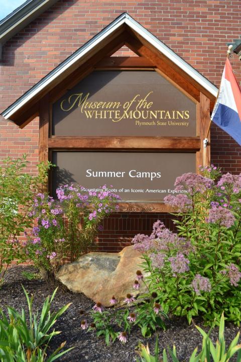 Summer Camps exhibit gallery view