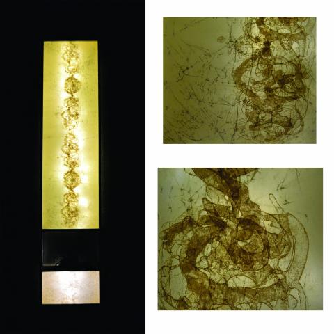 Kristin Sarette's prints