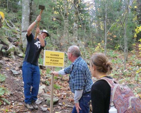 GEO Club members working in the woods