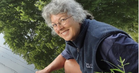 Lisa Doner is Helping Humanity Evolve to Meet Today’s Challenges