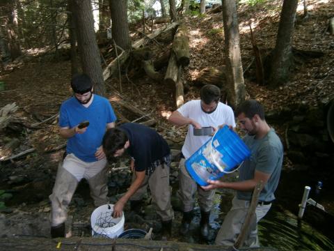 Students working on the hot salty bugs project stand in a stream collecting bugs in a buckets.